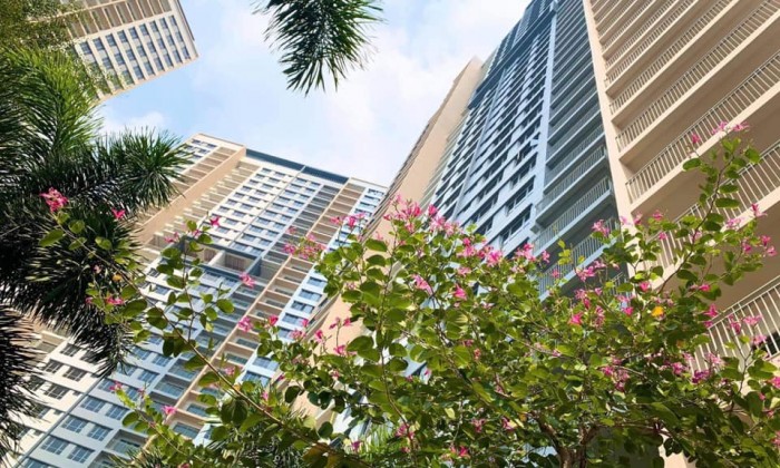 Chuyên chuyển nhượng căn hộ Palm Heights với mức giá rẻ nhất - Liên hệ: 0909988697