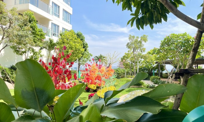 Chủ nhà cần chuyển nhượng căn hộ Estella Heights 2 phòng ngủ